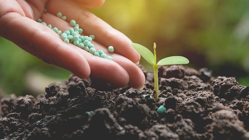 fertilizer fertilizer